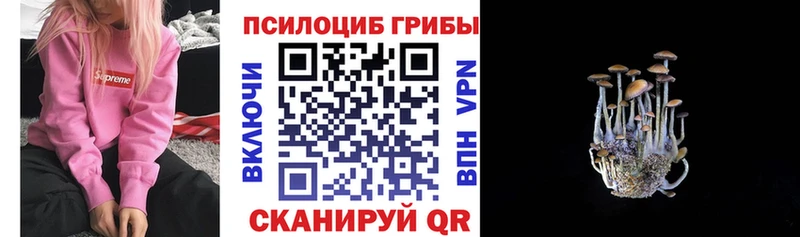 Галлюциногенные грибы Cubensis  Полесск 